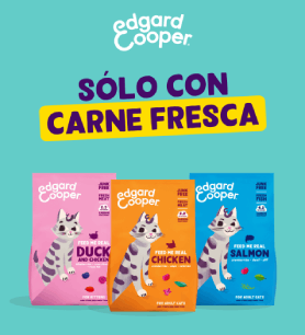 Comprar