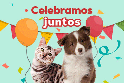 Descubra os descontos de at&eacute; 50% com a chegada do nosso anivers&aacute;rio