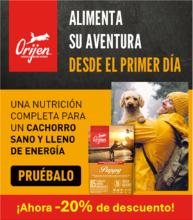 Comprar Ahora