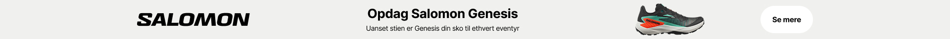 Salomon Genesis