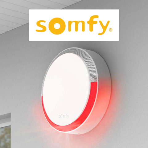 pack système d'alarme somfy