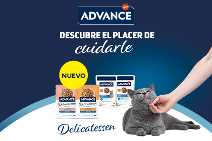 Ver productos