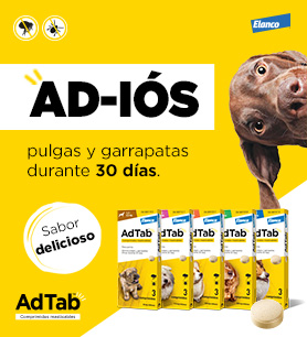 Comprimidos masticables antiparasitarios para perros y gatos