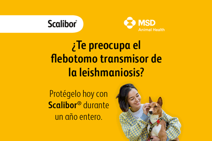 COMPRA AHORA