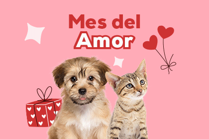 Descubre los descuentos del mes del amor.