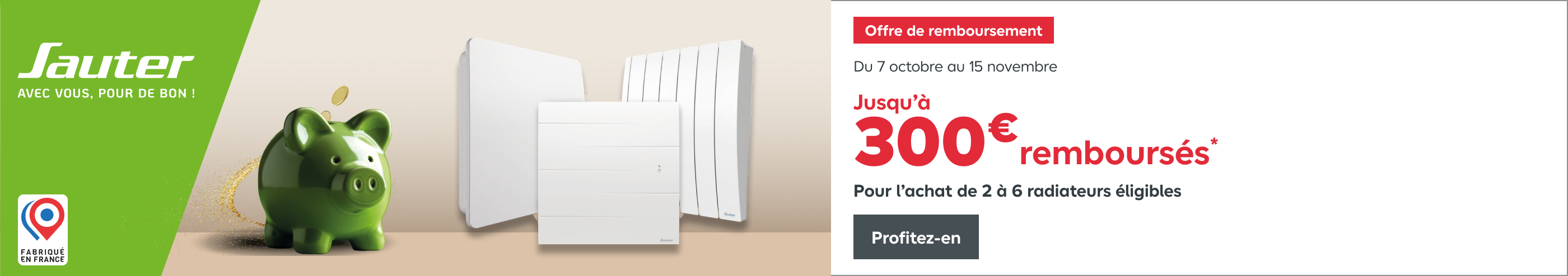 Bannière promotionnelle Sauter