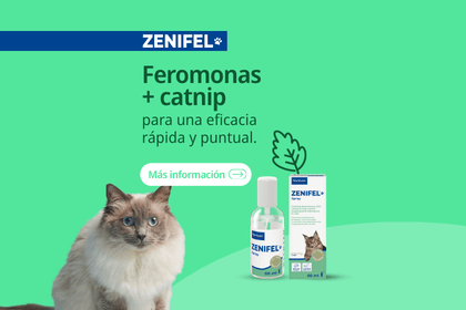 Redirecci&oacute;n a landing con opci&oacute;n de compra: Zenifel Spray