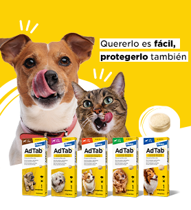 Comprimidos masticables antiparasitarios para perros y gatos